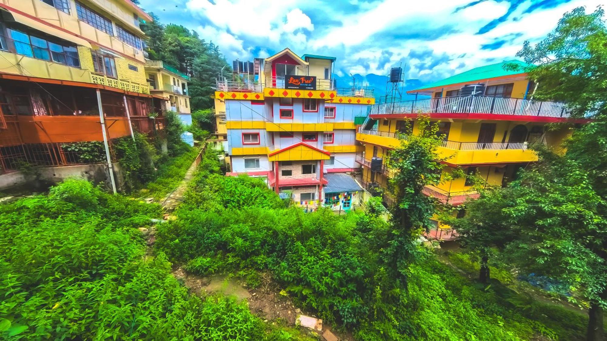 Live Free Hostel, Mcleodganj McLeod Ganj Luaran gambar